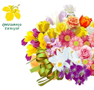 2013年赏花园节 主题为“多彩缤纷之花卉植物。